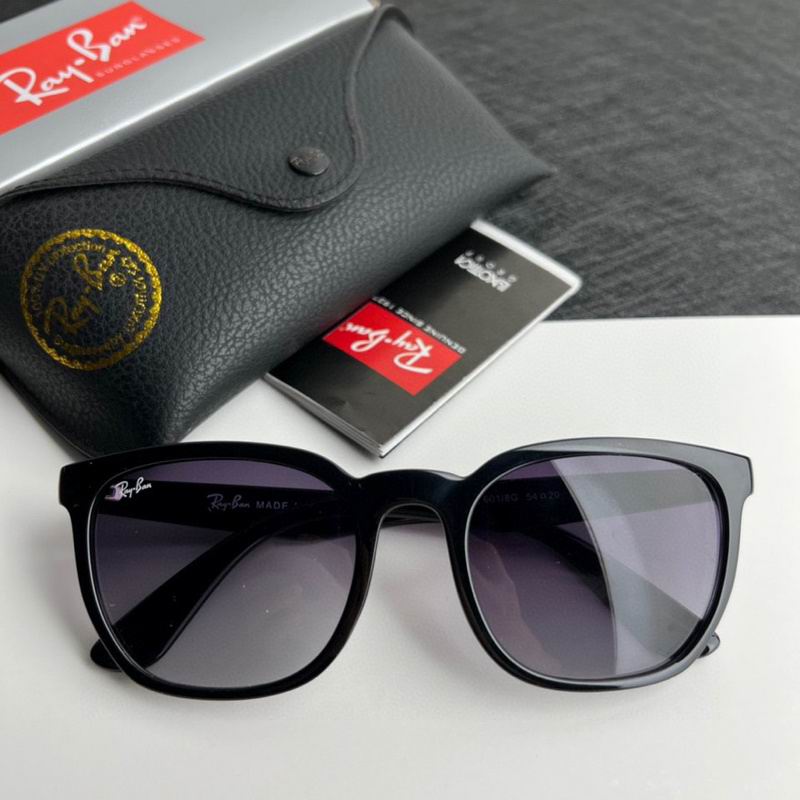 Rayban Glasses (129)